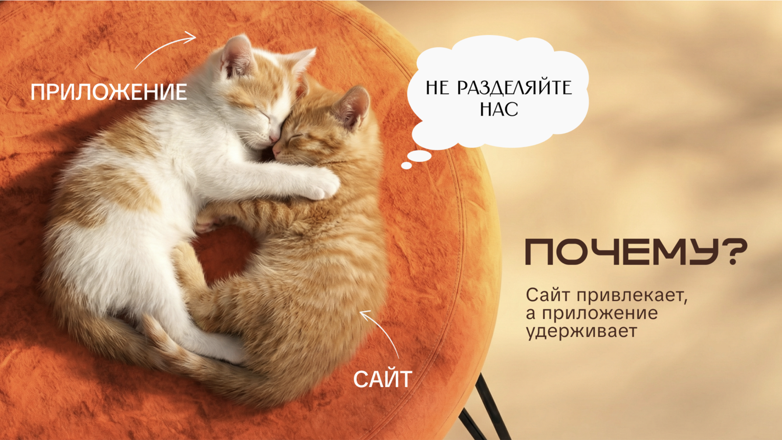 Удержание через приложение — пуши, персонализация, повторные покупки