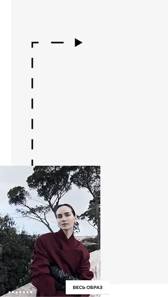 Купить весь образ