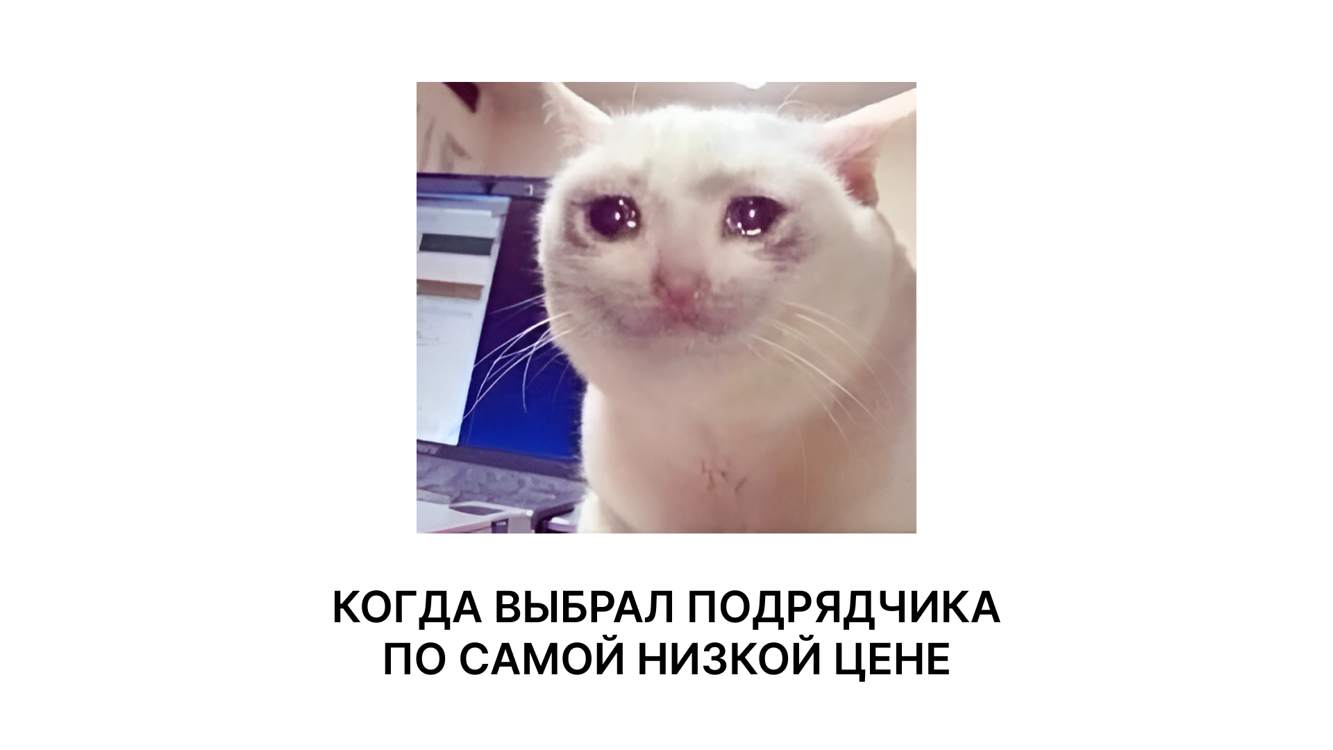 Заплаканный кот — мем про типичную ошибку оценки бюджета: выбор подрядчика мобильной разработки по самой низкой цене; на опыте команды FITTIN из Воронежа
